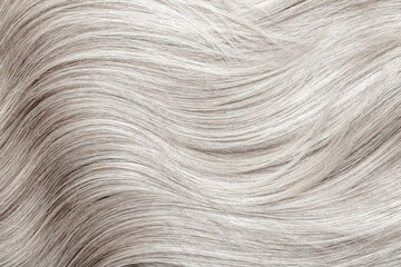 Blond hair close-up as a background. Women's long blonde hair. Beautifully styled wavy shiny curls. Hair coloring. Hairdressing procedures, extension. White hair