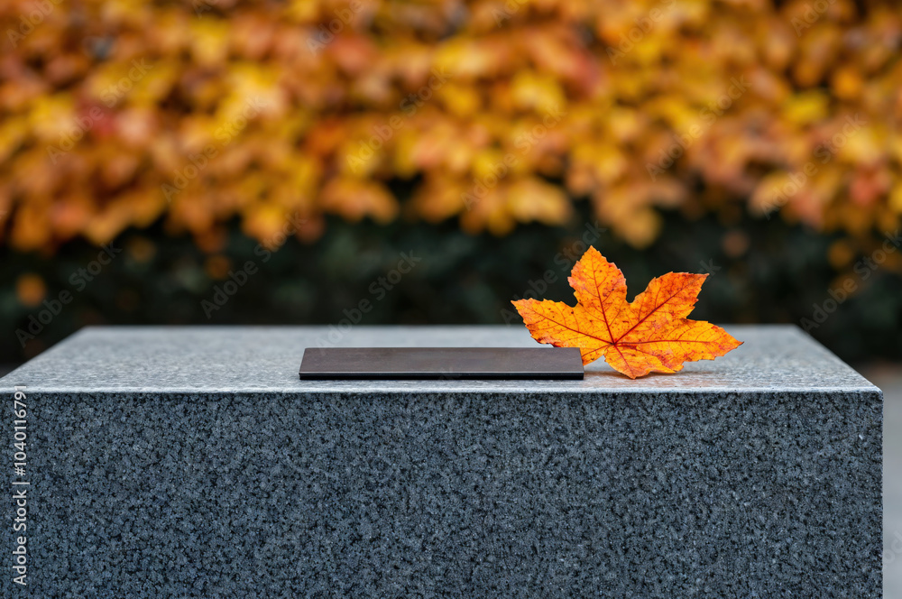 Poster Empty tombstone with an autumn leaf lying on it and out of focus maple tree in the background