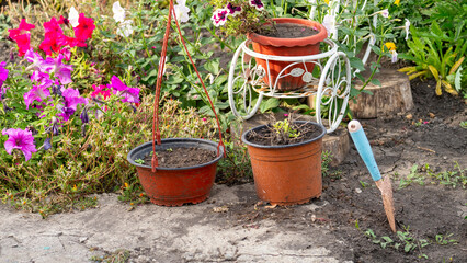 A garden with a white wheelbarrow and three potted plants. The wheelbarrow is on the right side of the garden