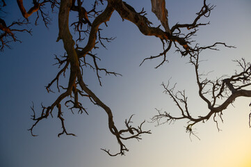 View of the sea at sunset from a high cliff.