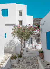 A serene alley features whitewashed buildings adorned with vibrant flowers under a clear blue sky, creating a tranquil atmosphere in a coastal village.