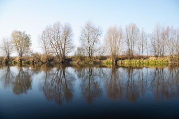The bank of a quiet river in autumn.