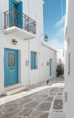 Wander down a serene narrow path in a vibrant Greek village, featuring whitewashed buildings with blue doors and a playful cat exploring its surroundings.