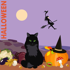 Halloween-themed illustration with witch attributes