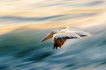Obraz premium Pelican soaring low over the ocean, wings skimming the water's surface, motion blur adding to the sense of movement and freedom, coastal, sea, wild, bird, freedom