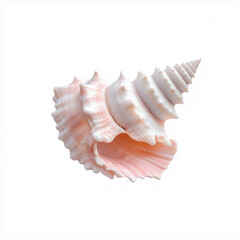 A pink shell with a rainbow swirl on it. The shell is very pretty and colorful. It looks like it's made of glass or some kind of shiny material