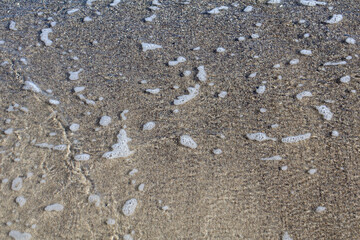 Sea Foam and Bubbles on Sandy Shore