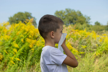 the child sneezes into a napkin, allergic to ragweed. selective focus
