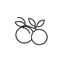 Oranges In cartoon, hand-drawn flat style. image for social media, websites and UI. Isolated 2D vector design in logo, icon, sketch style, simple line vector, single color. AI Generative Art.