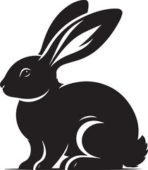 Black and white rabbit