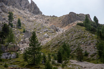 Rock details of Sasso di Santa Croce, Sas dla Crusc, La Crusc in Alta Badia Valley , Dolomites , Trentino, Alto Adige, Sudtirol, South Tyrol, Italy