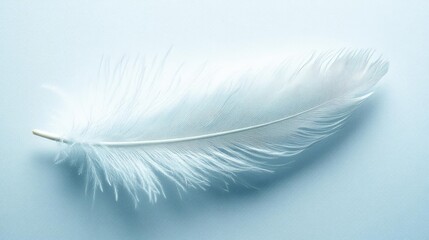 Obraz premium A single feather resting on a clean, white surface