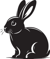 Black and white rabbit