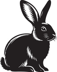 Black and white rabbit