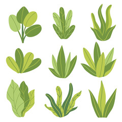 Set of green plants in a flat hand d rawn style vector illustration. Simple, minimalistic designs, perfect for eco-friendly projects, botanical themes, or nature-inspired decorations. 