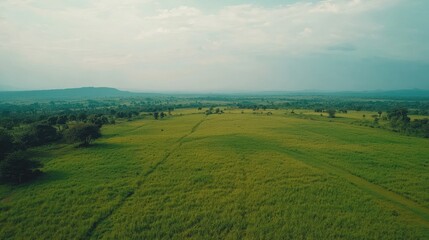 Fototapeta premium Top view of African fields stretching into the distance, with copy space in the sky