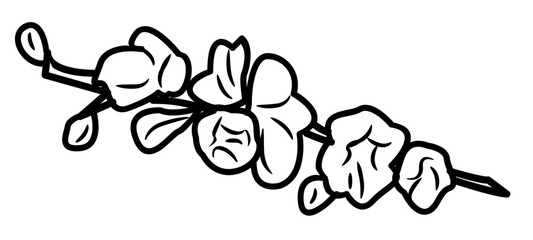 Cherry Blossom Flower