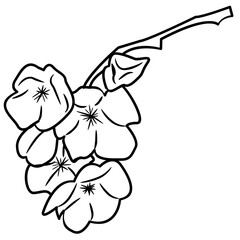 Cherry Blossom Flower
