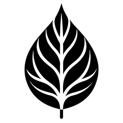 leaf-silhouette-icon-logo-vector-art-illustration