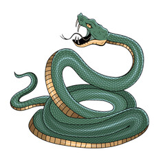 Obraz premium Snake illustration. Tattoo elements of snake skin. Vector illustration sketch of a traditional Chinese mythical animal. Green snake