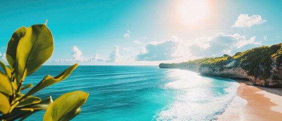 Tropical Beach Scene with Clear Blue Waters and Sunshine