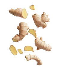 Falling fresh ginger cut slices on transparent PNG or white background.