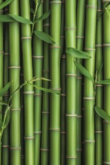 Lush Green Bamboo Zen Garden Close-up Macro View of Serene Bamboo Stalks, Natural Texture Background for Relaxation and Wellness Concepts