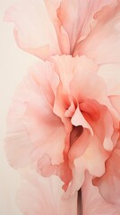 Carnation abstract flower petal.