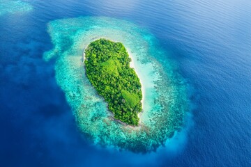 An untouched, lush island sits prominently in the midst of a vibrant blue ocean, encapsulated by rich coral reefs, portraying serenity under the wide, open skies.