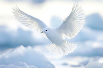 Obraz premium A graceful white bird is captured in mid-flight, soaring effortlessly through the crisp, icy air, against the backdrop of an expansive, frozen landscape.