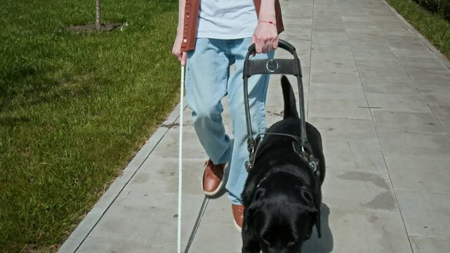 Unrecognisable man with disability holding cane walking along park road with black labrador