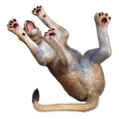 3D Rendering Female Lion on White