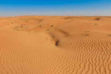 Natural patterns of sand dunes basking under a clear blue sky in the Wahiba Desert Oman during the midday sun