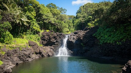 Fototapeta premium Lush greenery surrounds a cascading waterfall flowing into a still pool of water.