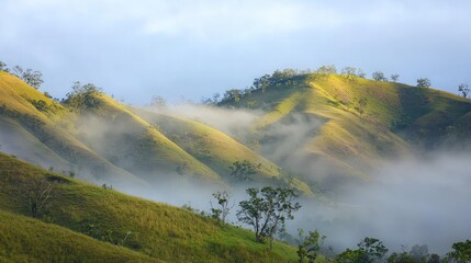 Misty morning light bathes rolling green hills.