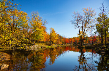 Bright Vibrant Autumn Fall Tree Leaf Colours Reflected in the Lake Water Mirror Surface Surrounded by Marsh Areas, Frontenac Park, Ontario, Canada