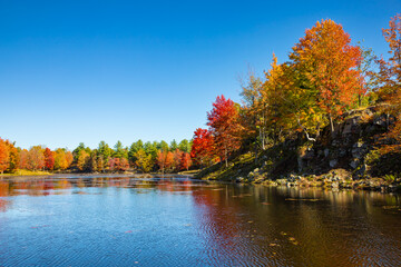 Bright Vibrant Autumn Fall Tree Leaf Colours Reflected in the Lake Water Mirror Surface Surrounded by Marsh Areas, Frontenac Park, Ontario, Canada