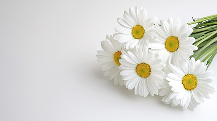 Obraz premium A bouquet of white daisies with yellow centers, resting on a light background, evoking freshness and simplicity.