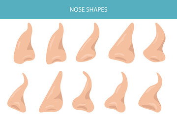 Shapes of nose anatomy. Nasal diseases. Medical infographic design. Vector illustration