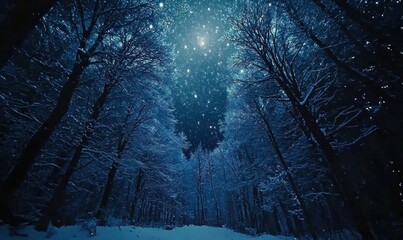 Naklejka premium Starry Night in Snowy Forest