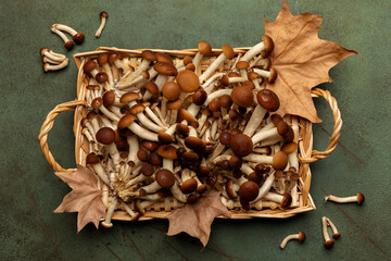 Raw Honey fungus or Chiodino or stamp edible mushrooms in a rettangular basket with autumn leaves. © Olga