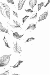 A group of feathers suspended in mid-air, captured in a whimsical moment