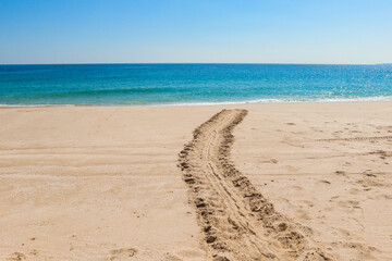 Turtle beach in Oman during the day with tracks in the sand leading to the calm turquoise waters and clear blue skies