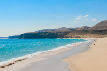 Explore the serene turtle beach in Oman where golden sand meets clear blue waters under a sunny sky