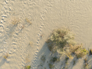 River flooding over its banks covering surrounding trees and land in Emilia Romagna, Italy