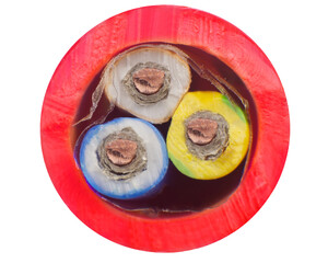 Cross section of a three conductor electrical cable