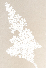 powder on white background