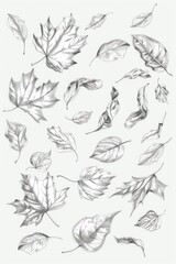Fototapeta premium A cluster of leaves photographed from above