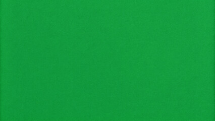 Pure green background, solid tone, no patterns, gradients, or effects
