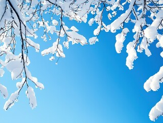Winter background featuring snowy branches against a clear blue sky